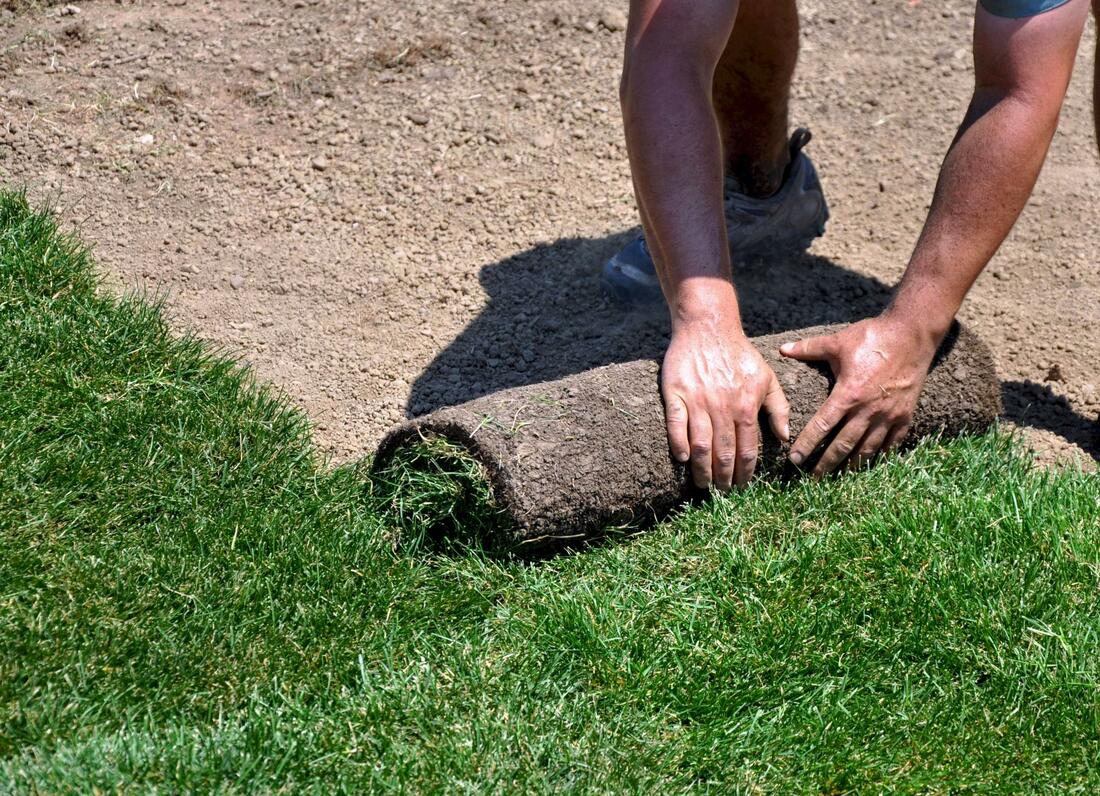 Efficient and affordable sod installation in Leander, TX.
